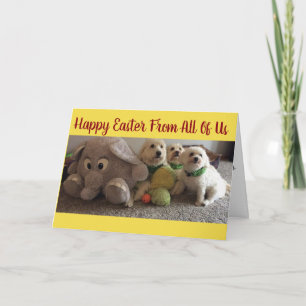 SENDING "DOGS" & NOT A DUCK AT **EASTER** HOLIDAY CARD