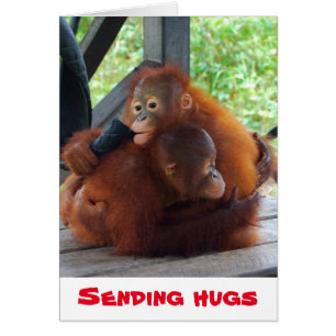 Sending Hugs Valentine Cards