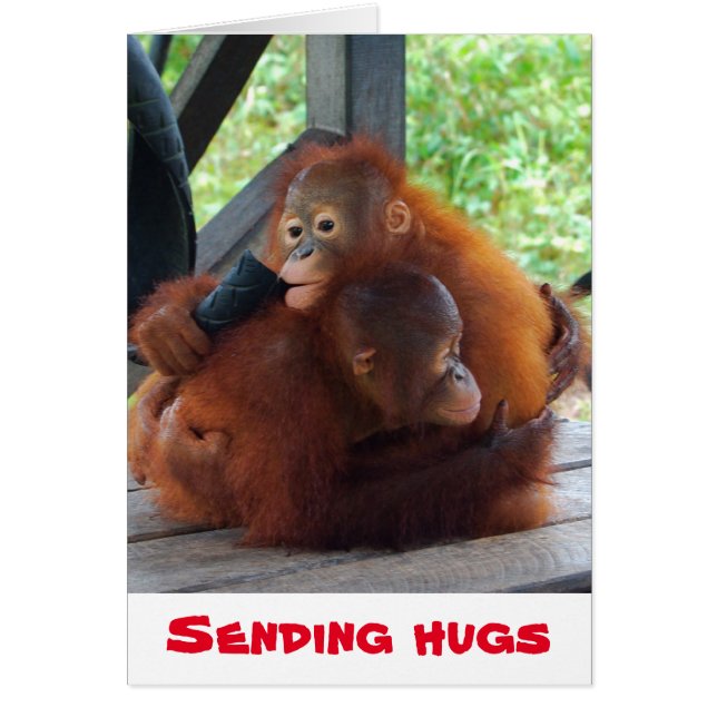Sending Hugs Valentine Cards (Front)