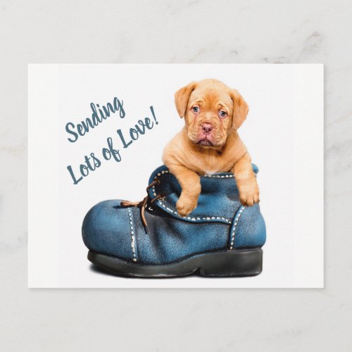 Sending Lots of Love Cute Puppy Dog Postcard