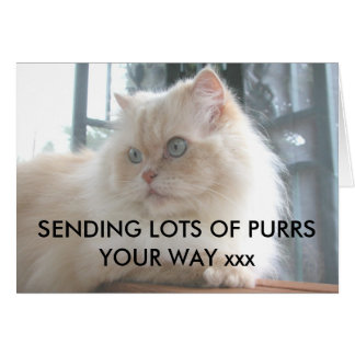 SENDING LOTS OF PURRS YOUR WAY xxx Cards