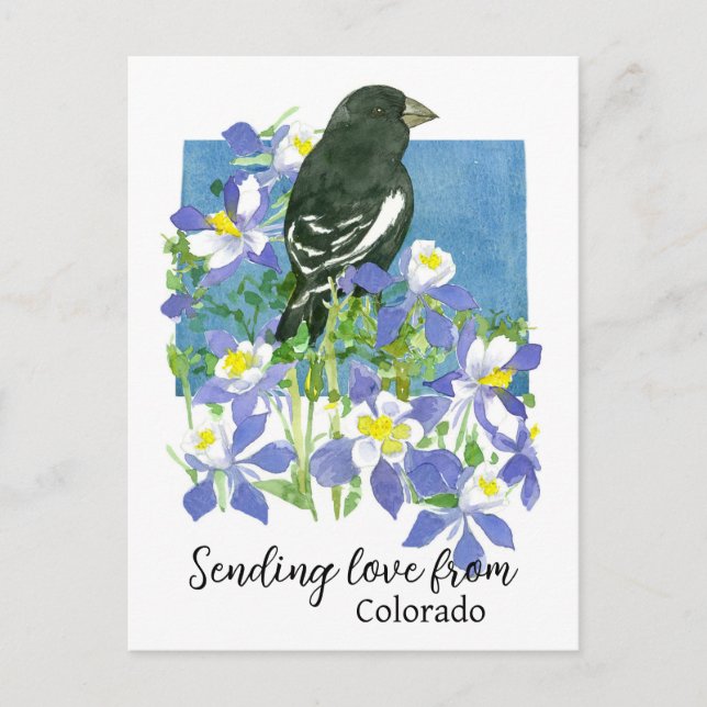 Sending Love From Colorado Lark Bunting Columbines Postcard (Front)