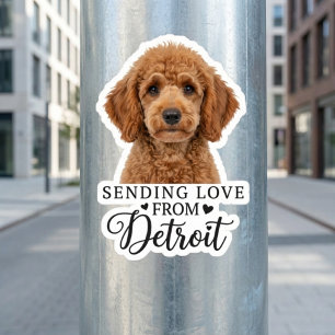 Sending Love From Detroit Sticker
