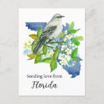 Sending Love From Florida Mockingbird Orange Postcard
