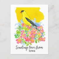 Sending Love From Iowa Goldfinch Prairie Rose