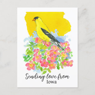 Sending Love From Iowa Goldfinch Prairie Rose Postcard