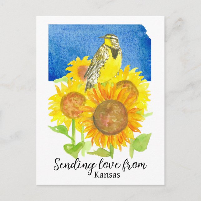 Sending Love From Kansas Meadowlark Sunflowers Postcard (Front)