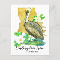Sending Love From Louisiana Pelican Magnolia