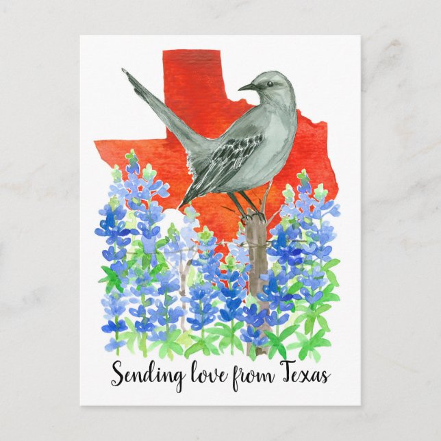 Sending love from Texas Mockingbird Bluebonnets Postcard (Front)