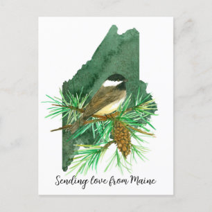 Sending Love Maine Chickadee Pinecone Tassel Postcard
