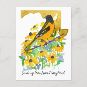 Sending Love Maryland Baltimore Oriole Flowers Postcard