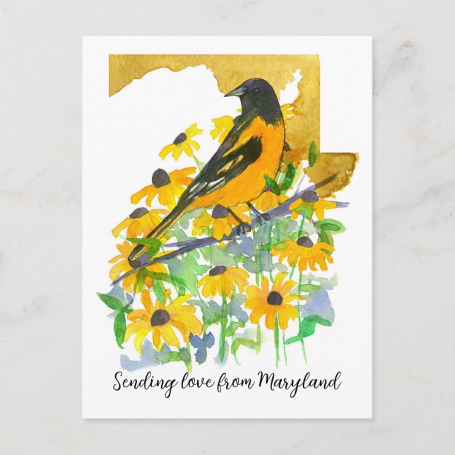 Sending Love Maryland Baltimore Oriole Flowers Postcard (Front)