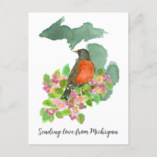 Sending Love Michigan American Robin Flowers Postcard