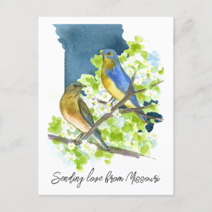 Sending Love Missouri Bluebirds Hawthorn Flower Postcard