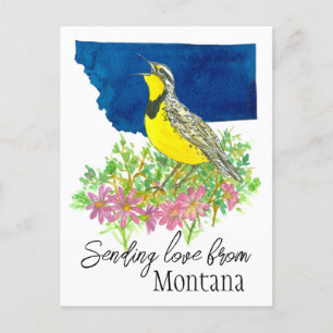 Sending Love Montana Bitterroot Wildflower Postcard