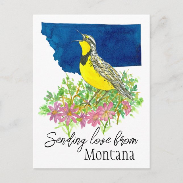 Sending Love Montana Bitterroot Wildflower Postcard (Front)