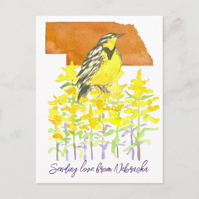 Sending Love Nebraska Meadowlark Goldenrod Flowers Postcard (Front)