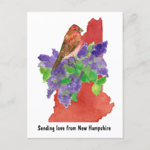 Sending Love New Hampshire Purple Finch Lilac Postcard