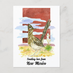 Sending Love New Mexico Road Runner Yucca Flower Postcard