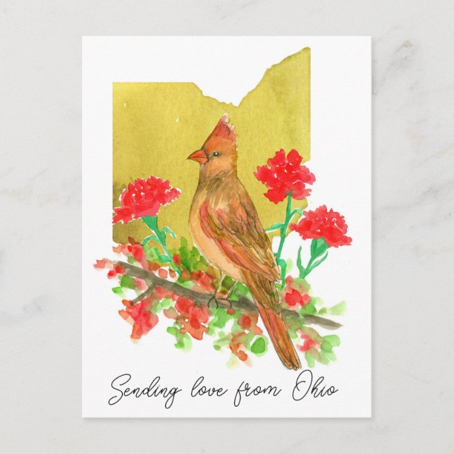 Sending Love Ohio Cardinal Bird Carnations Postcard (Front)