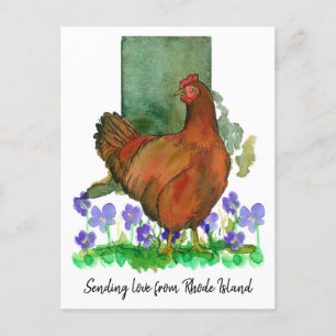 Sending Love Rhode Island Red Chicken Violets Postcard