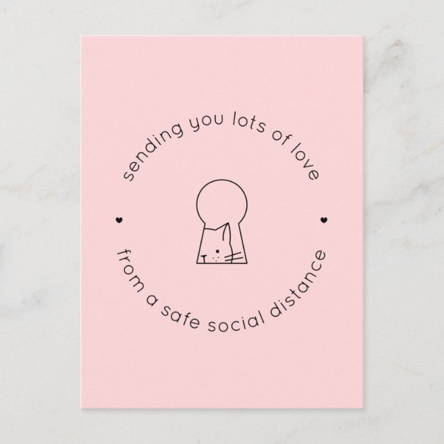 Sending Love Social Distance Pink Cute Cat Lock Postcard (Front)