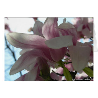 Sending my love with blossoms cards