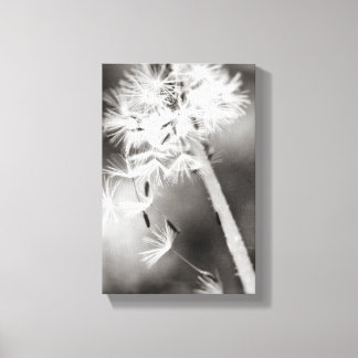 Sending Out Wishes Canvas Print