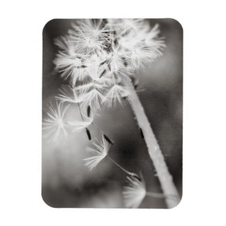 Sending Out Wishes Magnet