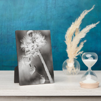 Sending Out Wishes Plaque