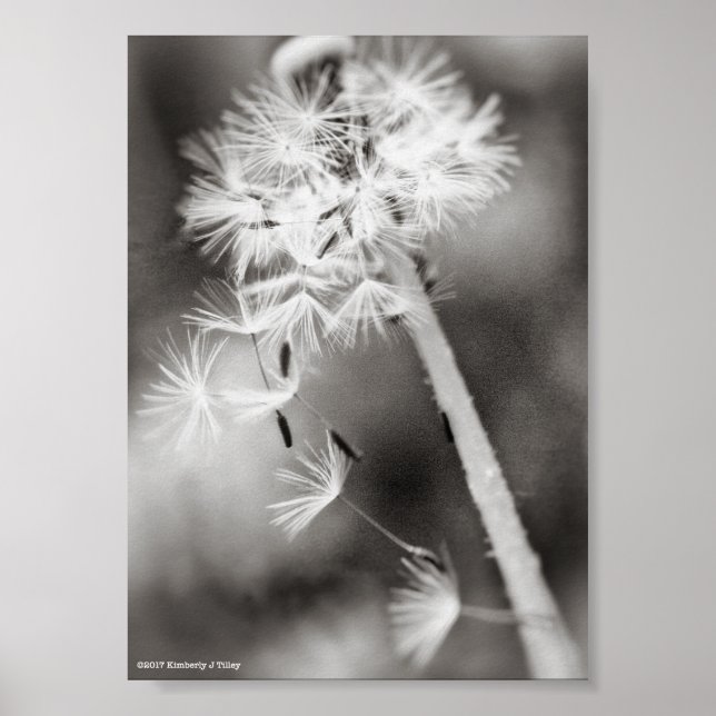 Sending Out Wishes Poster (Front)