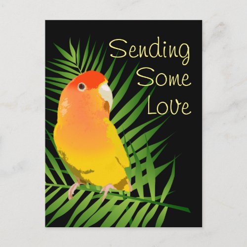 Sending Some Love Yellow Lovebird Parrot Pet Bird Postcard