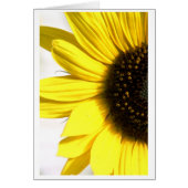 Sending some sunshine (Front)