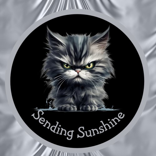 Sending Sunshine Or Your Text Angry Silver Cat Mug