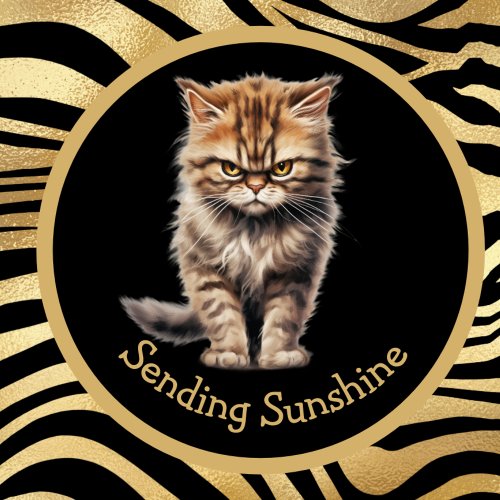Sending Sunshine Or Your Text Funny Tabby Cat Mug