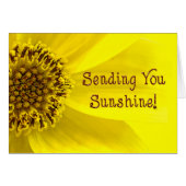 Sending Sunshine - SUNFLOWER - BRIGHT (Front Horizontal)