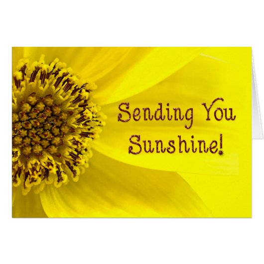Sending Sunshine - SUNFLOWER - BRIGHT Cards (Front Horizontal)