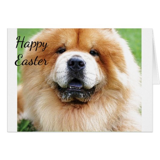 SENDING U "DOG" & NOT A DUCK AT **EASTER** (Front Horizontal)
