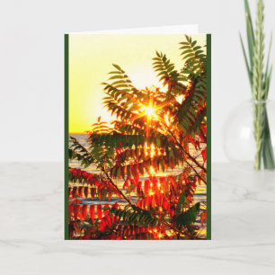 Sending Warm Christmas Wishes Your Way! Holiday Card