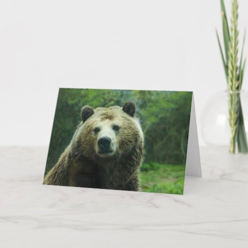 Sending you a big bear hug grizzly bear card