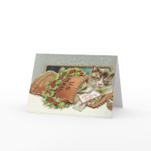 Sending you A meowy Christmas kitty in Mail bag