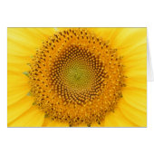 Sending you a Smile (Front Horizontal)