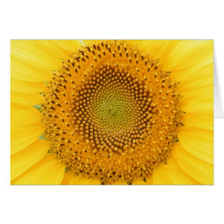Sending you a Smile Cards