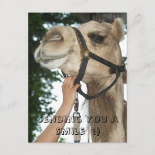 Sending You a Smile:) Postcard
