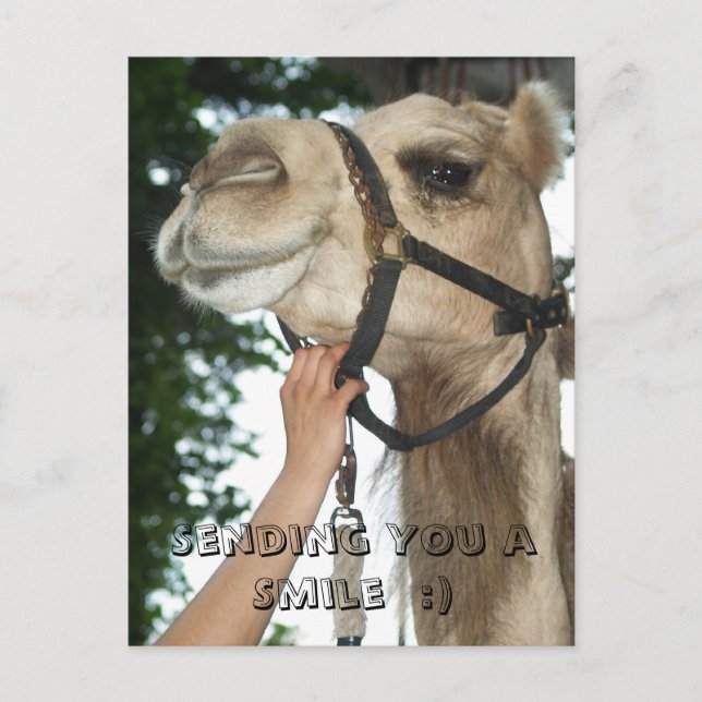Sending You a Smile:) Postcard (Front)
