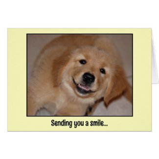 Sending you a smile...smiling golden pup greeting cards