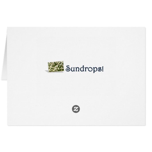 Sending you some sunshine (Back Horizontal)