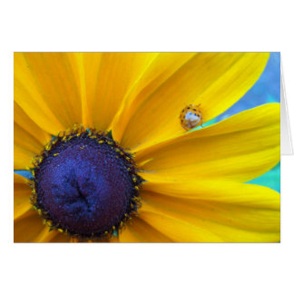 Sending you some sunshine cards