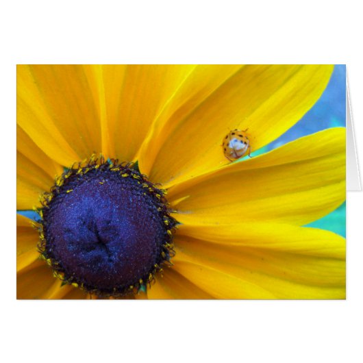 Sending you some sunshine cards (Front Horizontal)