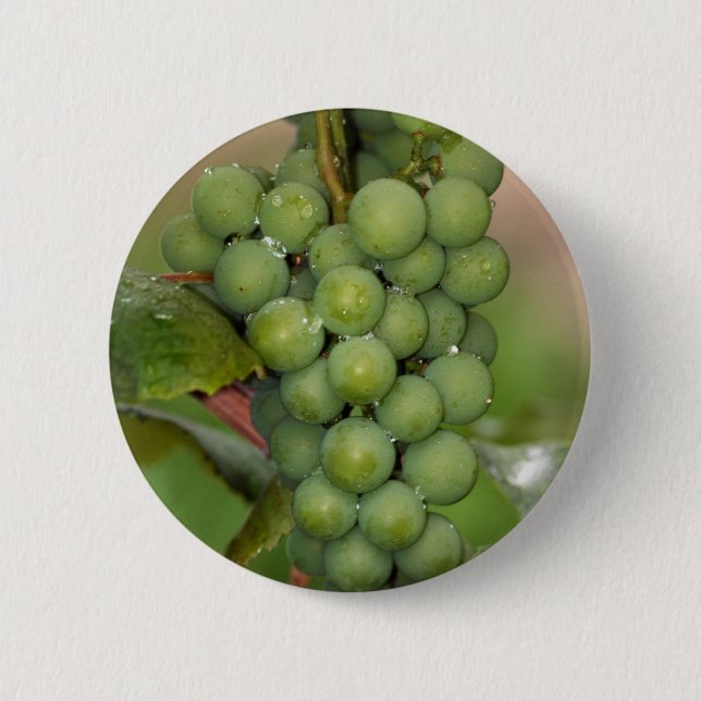 Seneca Grapes Pinback Button (Front)